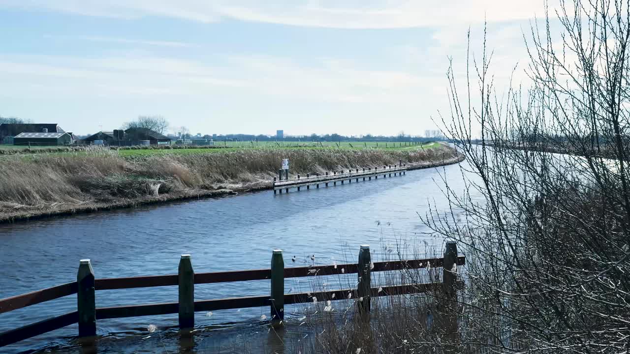 Ender som svømmer i en rolig landlig kanal med en person på en brygge