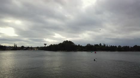 Möwen-Fliegen-Und-Gleiten-Entlang,-Pelikane-Schwimmen-An-Einem-Starken-Windigen-Und-Bewölkten-Morgen-Auf-Einem-Ruhigen-Fluss