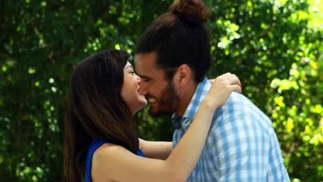 pareja abrazándose en el parque 4k