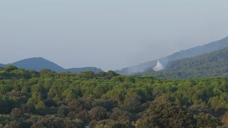 drone filming a fire we see the trail of smoke, we see a seaplane that moves away and another discharges water in the affected area, which is already controlled, filmed in slow motion and in 167mm.