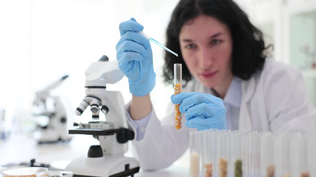 Scientist conducting research on corn seeds in laboratory