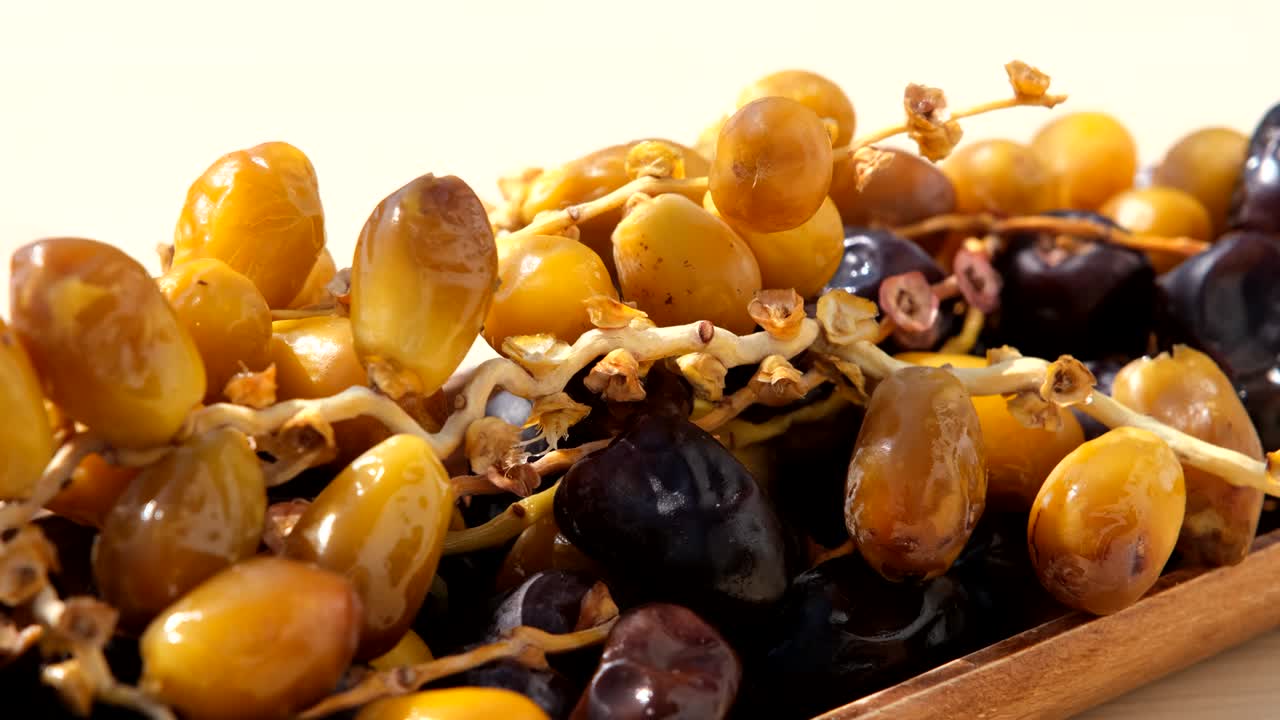 frutas de dátiles frescas bajo la luz del sol.