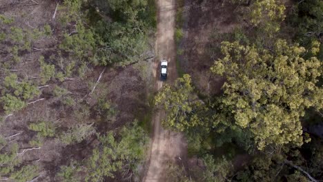 aerial top down view of moving car on dirt road near emerald creek falls