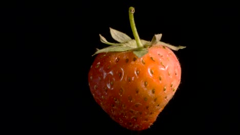levitating red strawberry. rotating ripe strawberry flying in the air isolated on black background. closeup, camera rotation 360 degrees.