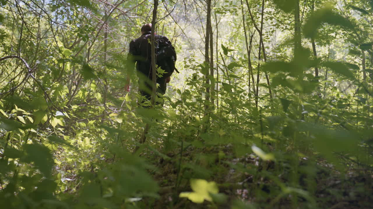 Adventurer with backpack walks through dense forest trail, gently dodging overhanging branches and moving carefully through lush green vegetation under soft daylight streaming through trees