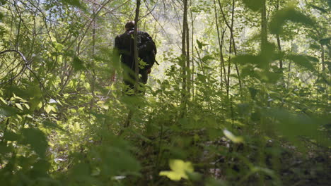 Adventurer with backpack walks through dense forest trail, gently dodging overhanging branches and moving carefully through lush green vegetation under soft daylight streaming through trees