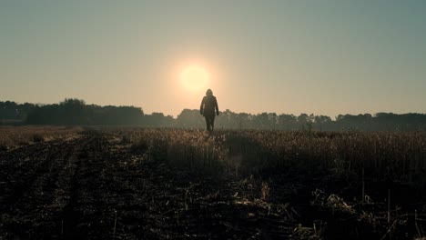 a man walks through a burned field at sunrise and sunset. silhouette