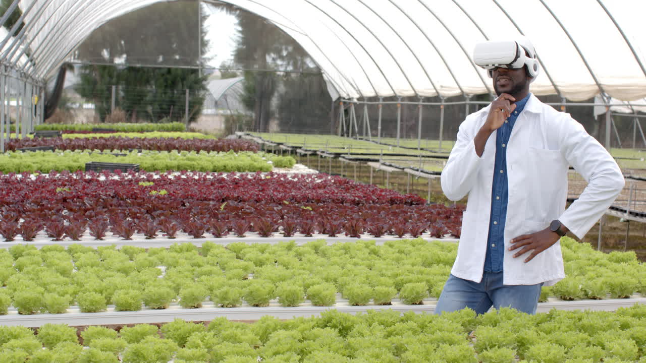 Using VR headset, african american man inspecting hydroponic vegetable garden in greenhouse