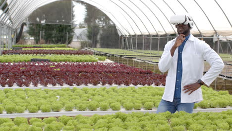 using vr headset, african american man inspecting hydroponic vegetable garden in greenhouse