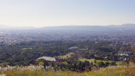 la mejor vista en nara