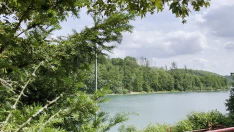 reservoir in germany with forest on the edge