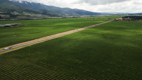 Famosos-Campos-De-Vino-En-El-Norte-De-La-Isla-Sur,-Nueva-Zelanda,-Vista-Aérea