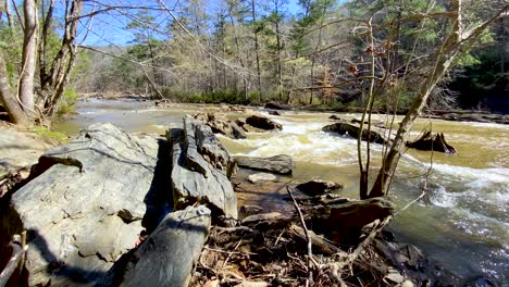 río de flujo rápido en el parque de agua dulce en atlanta