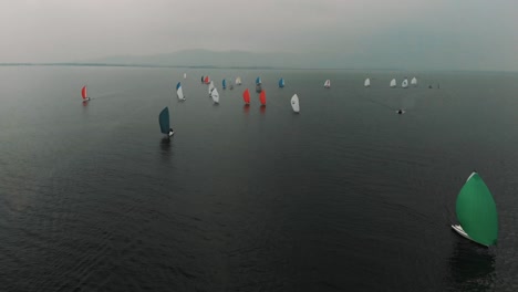 a dozen colorful sailboats head to port on lake constance