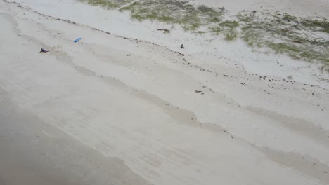 caucasian woman sits on white sandy shore of kingscliff beach in australia