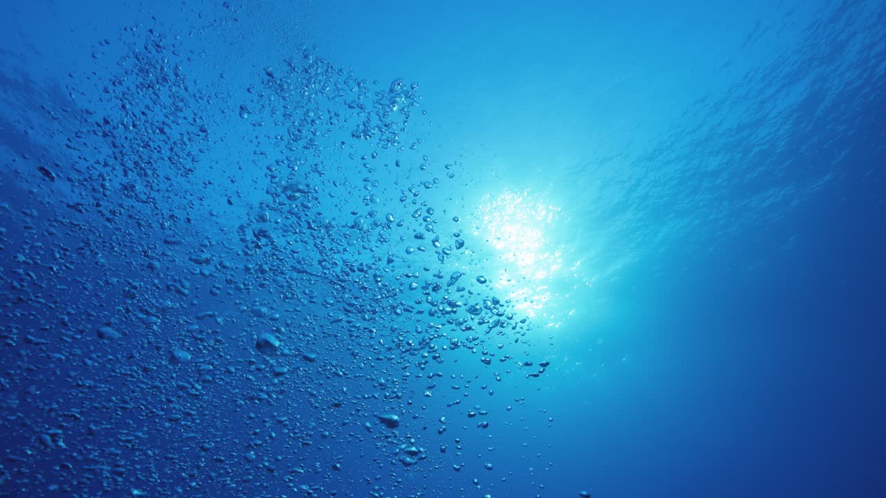 海水の下で、太陽の光が差し込む中、気泡が水面に浮かび上がる。