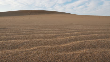 desert landscape on a sunny day.