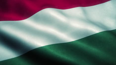 hungary flag waving in the wind. national flag of hungary. sign of hungary seamless loop animation. 4k