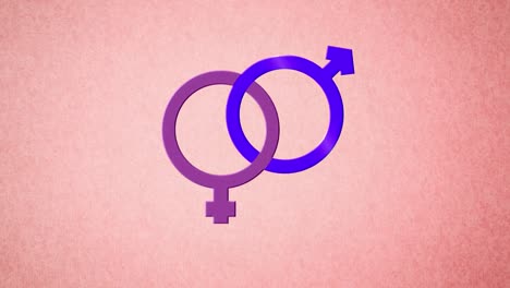 animation of interlinked pink and purple male and female gender symbols, on pink background