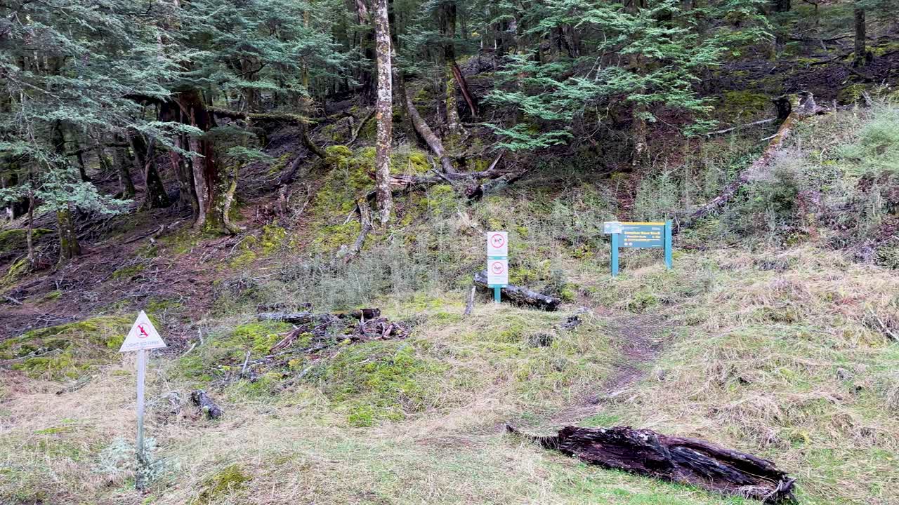 Steady camera glides along forest trail, revealing multiple signs and lush woodland environment