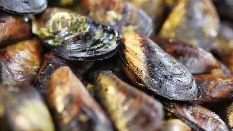 grilled mussels