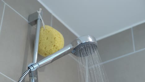 agua cayendo de un cabezal de ducha