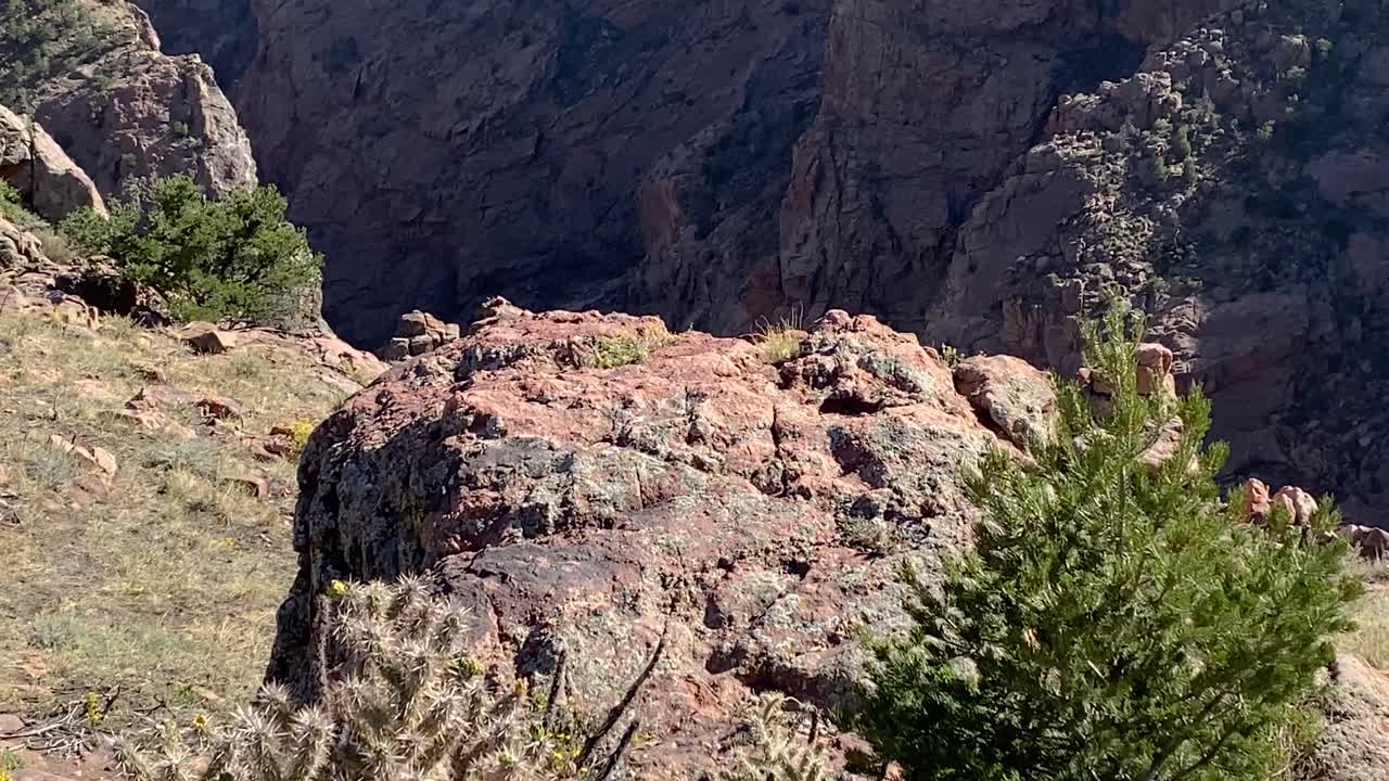 montañas rocosas escasa vegetación crece en el acantilado, royal gorge, colorado