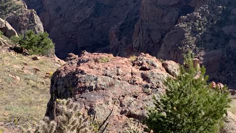 Montañas-Rocosas-Escasa-Vegetación-Crece-En-El-Acantilado,-Royal-Gorge,-Colorado