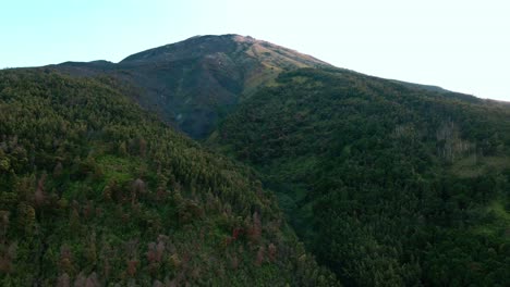 Fly-over-green-forest-on-valley-mountains