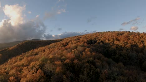 FPV-Drohne-Taucht-Durch-üppigen-Wald-Und-Enthüllt-Einen-Versteckten-See