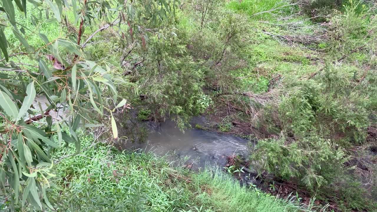 4K Video of a small creek in a bushland in Australia