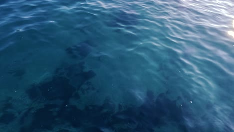 sunlight reflecting on calm blue water surface