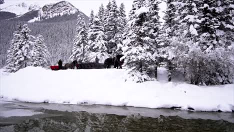 Caballos-Negros-Tirando-Del-Trineo-En-El-Lago-Louise-En-Columbia-Británica-Durante-El-Invierno