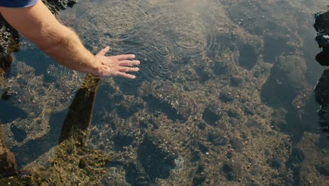 crop man touching clean pond water