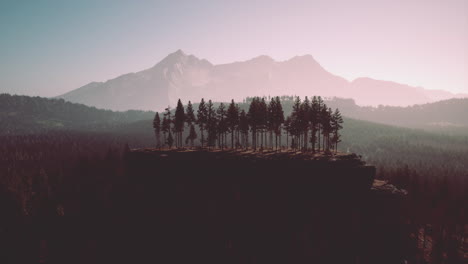 misty foggy mountain landscape with fir forest