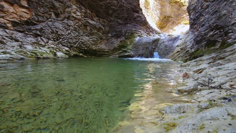 this footage captures the essence of natural tranquility, inviting viewers to immerse themselves in the peaceful ambiance of the forest