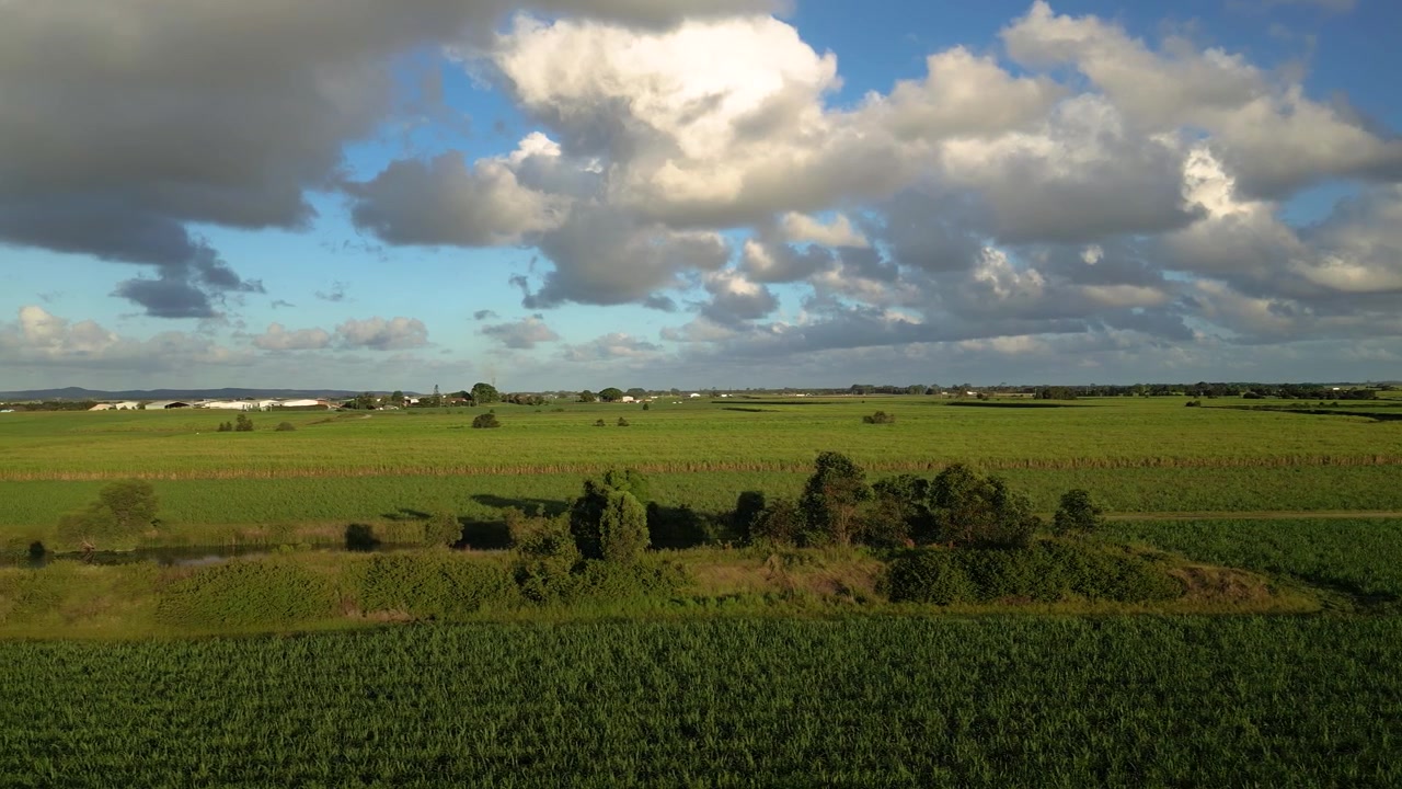 Vistas aéreas de derecha a izquierda sobre campos de caña de azúcar con la luz de la tarde en el sureste de Queensland, Australia