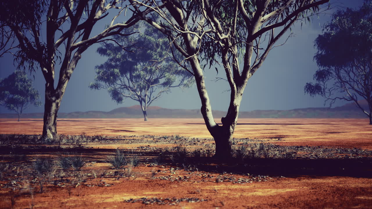 Serene landscape with trees under a twilight sky in a tranquil desert setting
