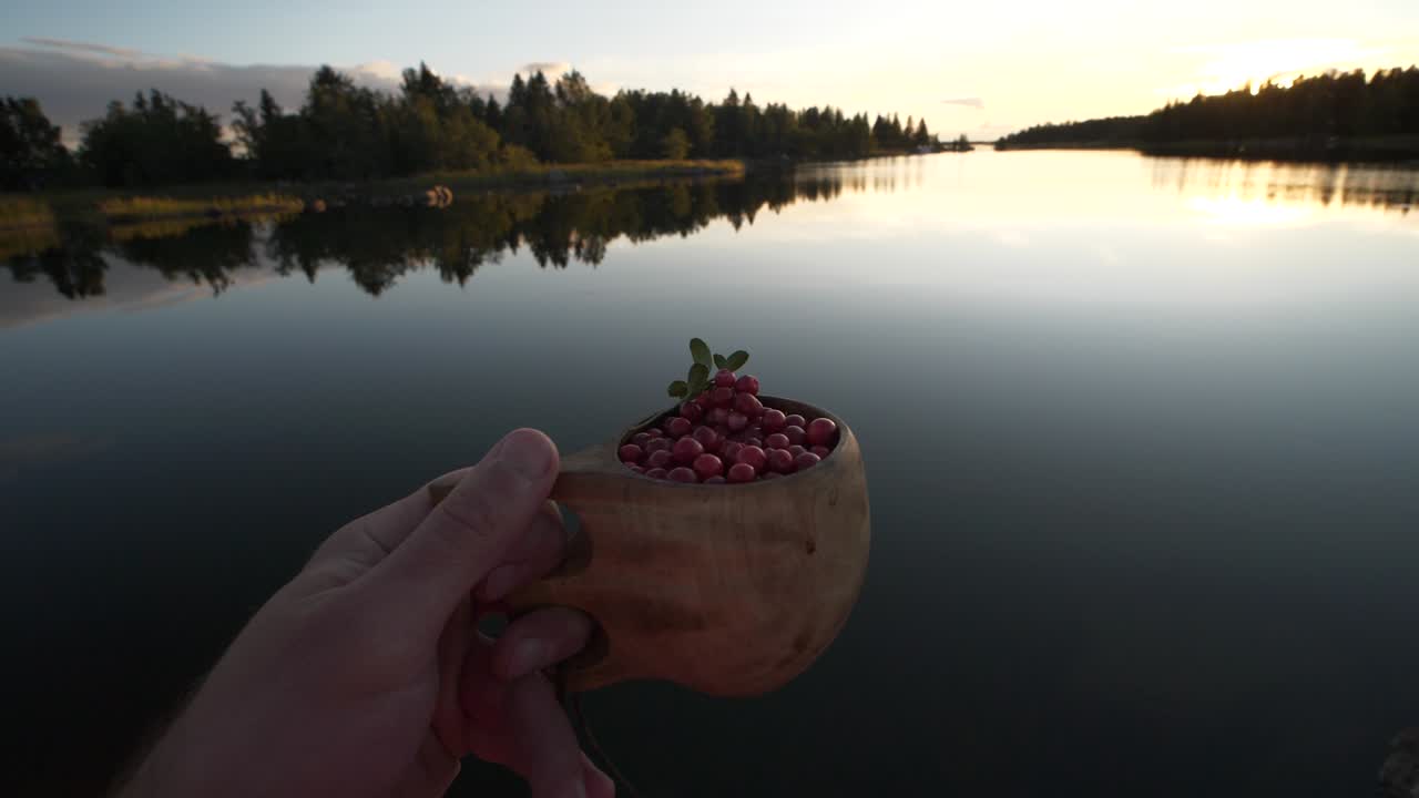FPV POV of hand holding lingon berries in a wooden basket by lake in Finland