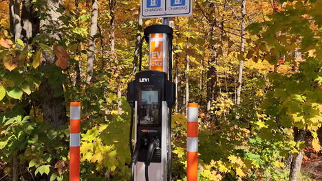 electric vehicle charging station next to forest with bright fall foliage