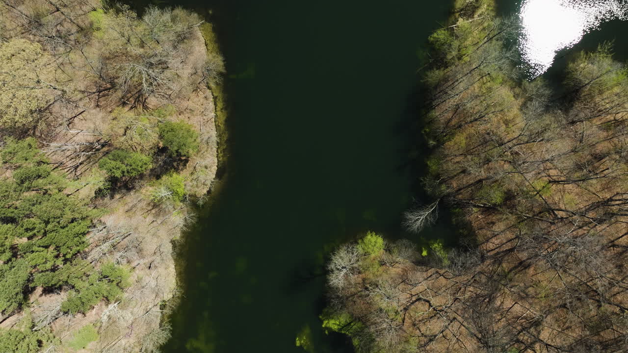 vista a vista de pájaro sobre el paisaje del lago con tierra y árboles en el lago glen springs, tennessee, ee.uu. - toma de drone