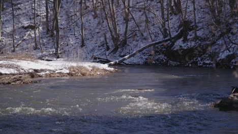 Lange-Aufnahme-Des-Fließenden-Stroms-An-Einem-Sonnigen-Hellen-Tag-Im-Wald-Von-Vilnius