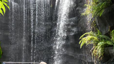majestic waterfall with lush green foliage