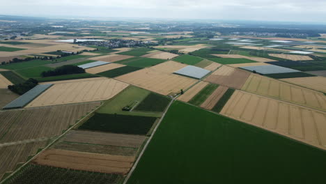 aerial view of agricultural fields