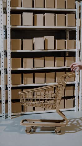 empty shopping cart positioned in a warehouse among cardboard boxes on shelves, illustrating concepts of online shopping, delivery, and e-commerce logistics