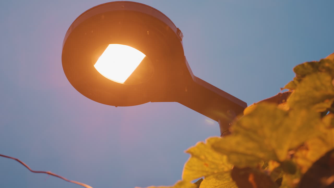 Lâmpada brilhante contra um céu dourado, com um núcleo LED quadrado e luminoso projetando um brilho quente sobre as folhas, close-up em ângulo ascendente com cabo e reflexo de lente, ambiente vibrante de uma noite de verão, brilho urbano moderno.