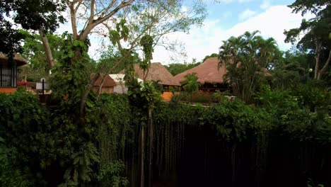 A-cenote-located-in-the-Yucatan-peninsula-of-Mexico