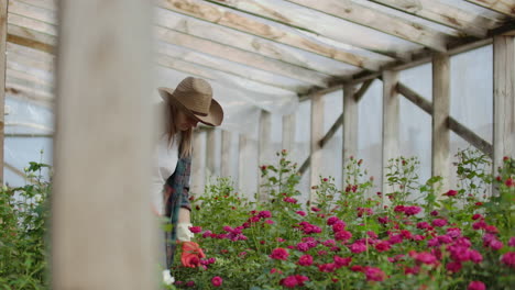 A-female-gardener-is-walking-in-a-gloved-greenhouse-watching-and-controlling-roses-grown-for-her-small-business.-Florist-girl-walks-on-a-greenhouse-and-touches-flowers-with-her-hands