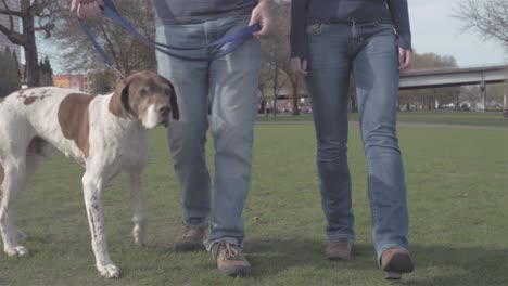 una foto de perfil bajo de un perro adorable caminando con sus dueños en un parque