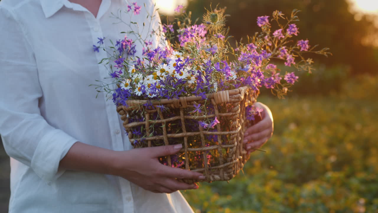 mujer camina en un campo con una canasta de flores silvestres de primavera